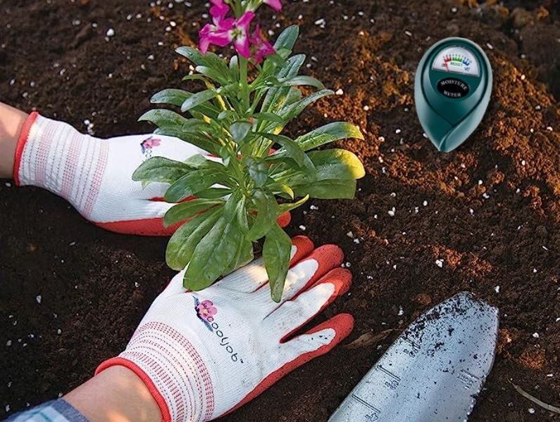 Gardening Gloves & Moisture Meter